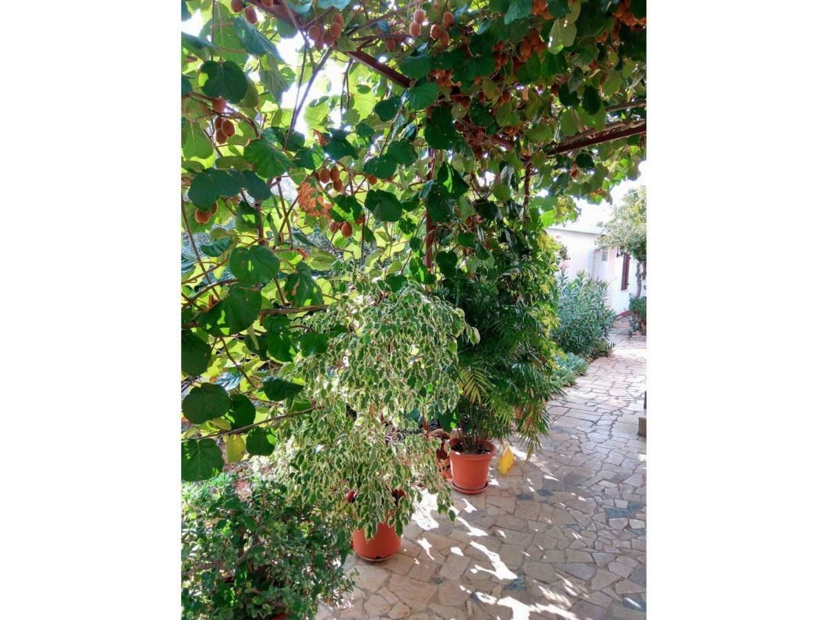 פורץ Apartment Gracijana מראה חיצוני תמונה